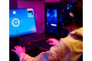 Game Design and Integration